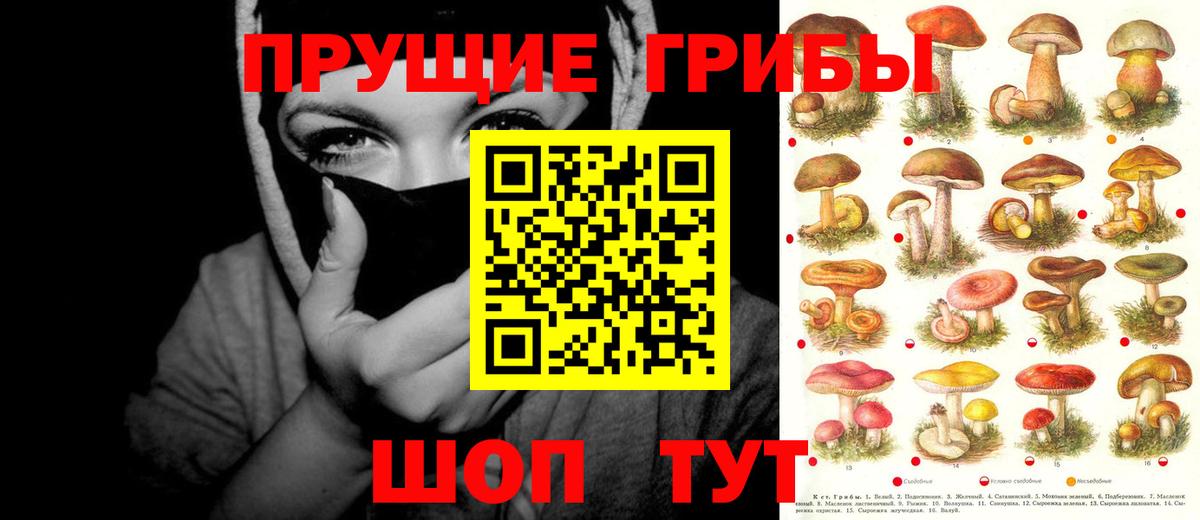 Псилоцибиновые грибы MAGIC MUSHROOMS Псков